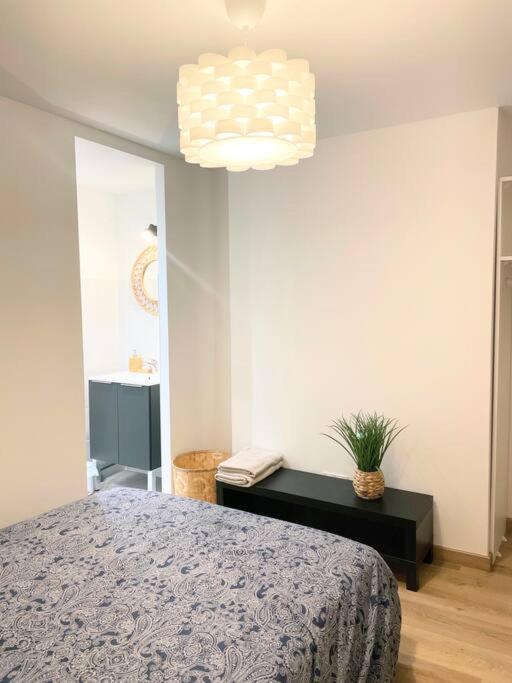Ferienwohnung / Cocon \ Paisible Hyper Centre Rodez Exterior foto